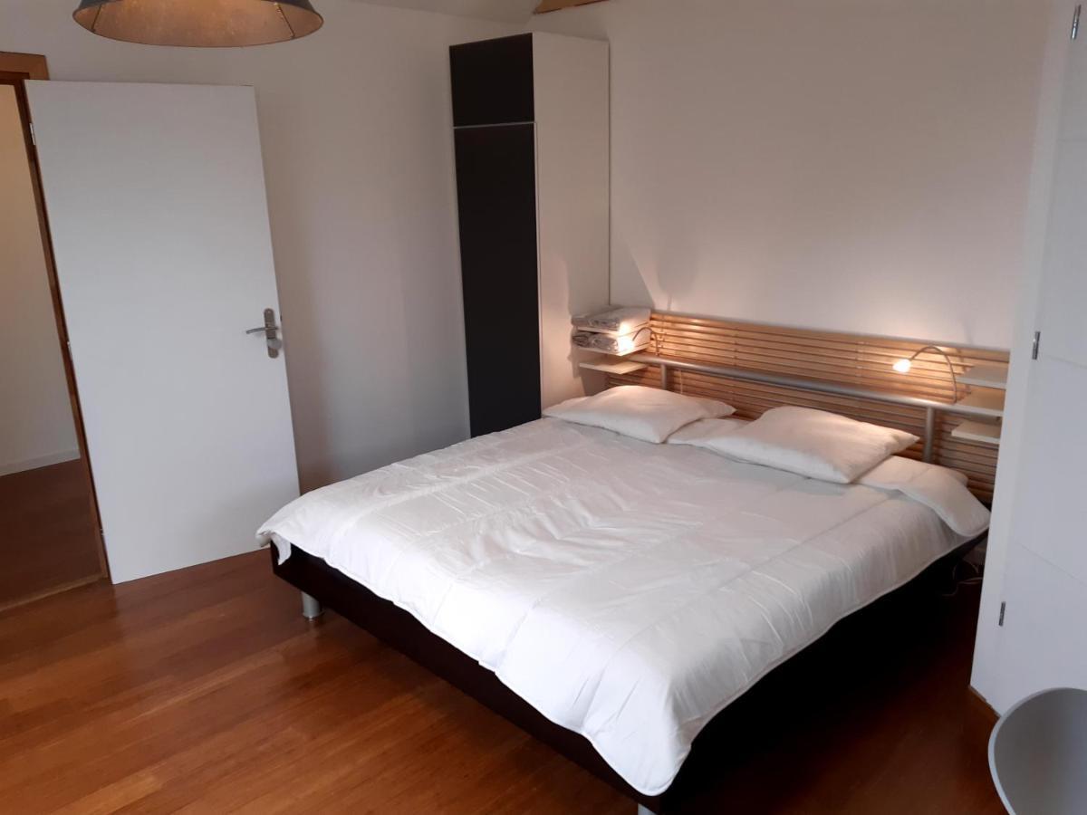 Loft Studio Avec Charme Et Authenticite Altkirch Dış mekan fotoğraf